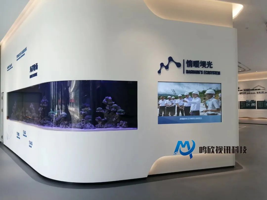 鸣欣视讯科技助力深圳坝光生物谷打造国际一流展示厅! 鸣欣视讯科技助力深圳坝光生物谷打造国际一流展示厅!