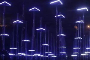 数字艺术与灯光可以这样玩！