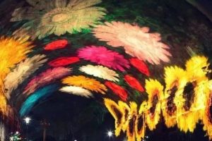 数字影像艺术图片欣赏