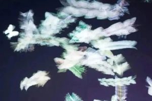 如影随形的光影视界：互动式多媒体艺术装置