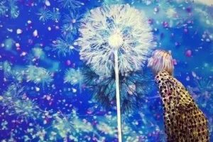 互动装置｜“蒲公英”让和平之花实时绽放