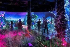 【全新探索】妙趣沉浸式花园展览体验