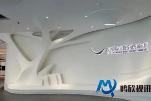 鸣欣视讯科技助力深圳坝光生物谷打造国际一流展示厅！