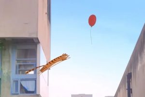Cat Walk丨 猫咪出街，人类注意