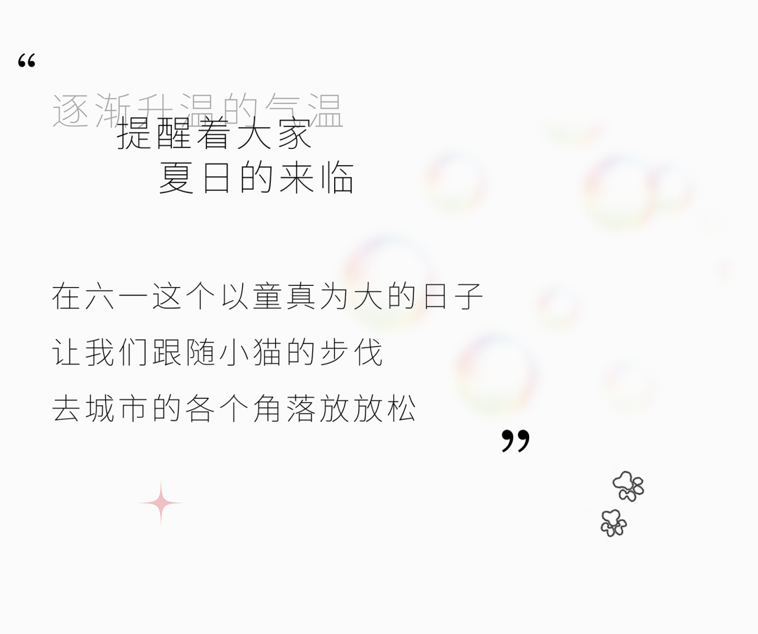 Cat Walk丨 猫咪出街，人类注意