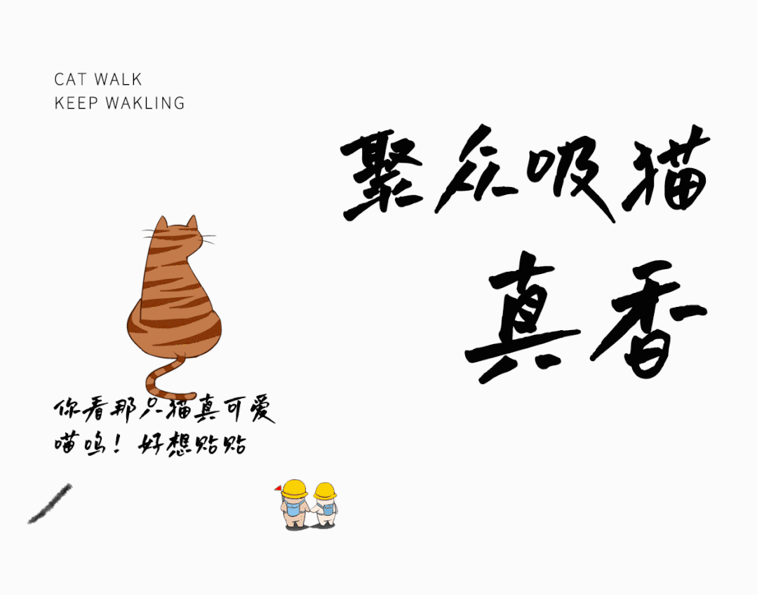 Cat Walk丨 猫咪出街，人类注意