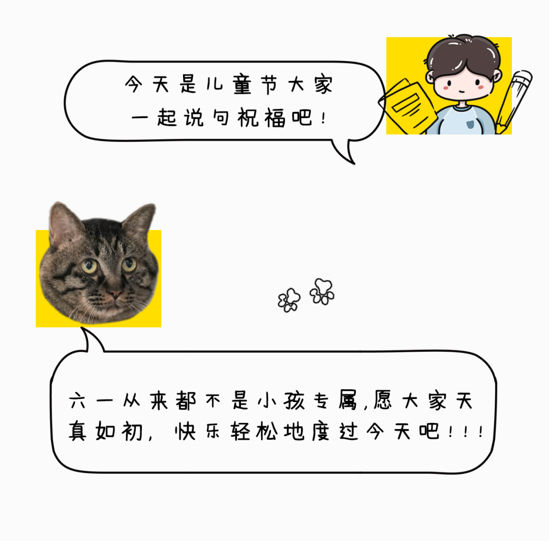 Cat Walk丨 猫咪出街，人类注意