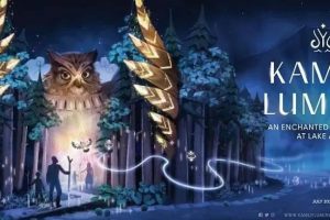 北海道阿寒湖森林的奇幻夜游之旅