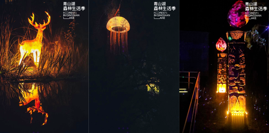 一起夜游，奇幻水森林•萌鹿仙踪……