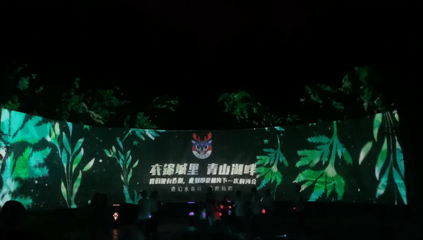 一起夜游，奇幻水森林•萌鹿仙踪……