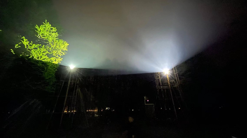 一起夜游，奇幻水森林•萌鹿仙踪……