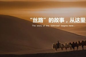 品牌战略升级，丝路视觉二十载的“变”与“不变”