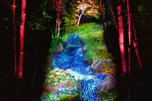 夜游丨 Lumina 家族新成员 以新媒体艺术连接自然和人类