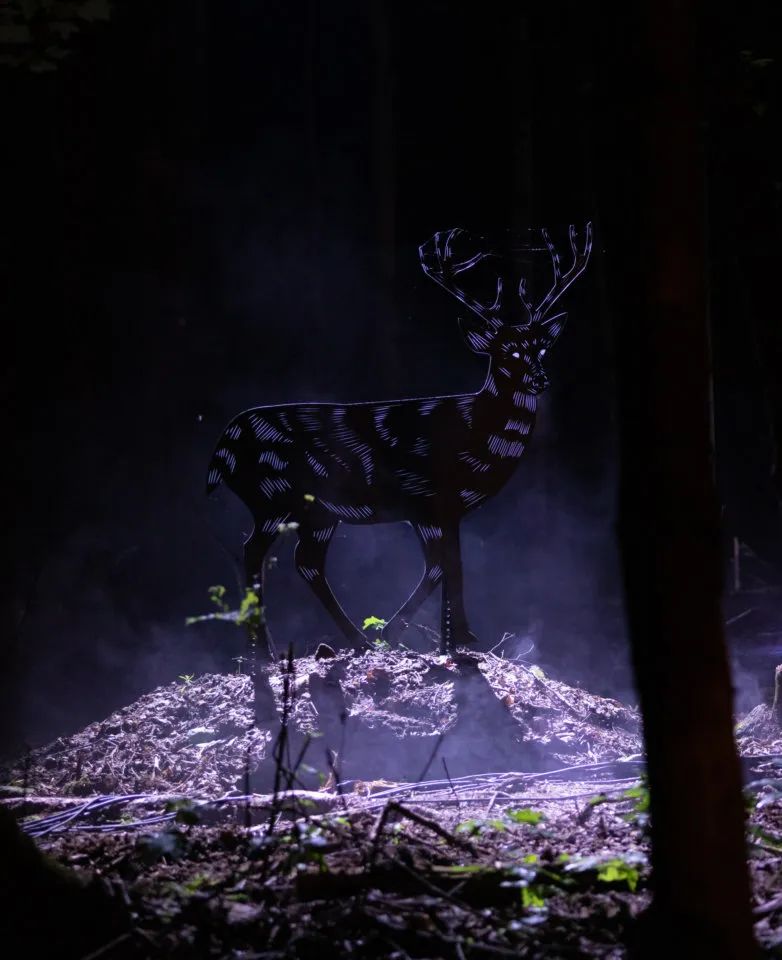 夜游丨 Lumina 家族新成员 以新媒体艺术连接自然和人类