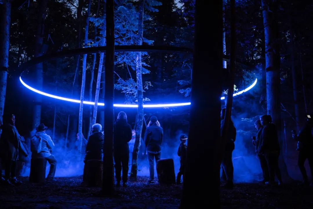 夜游丨 Lumina 家族新成员 以新媒体艺术连接自然和人类