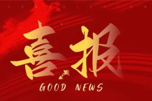 环宇文化科技与增城森林海度假区携手探索广州大型森林秘境！