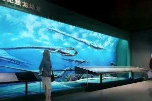 国内一线设计公司的自然科学科普博物馆设计是什么样的？