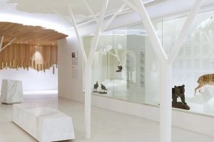 国立台湾博物馆—主题展览：发现台湾