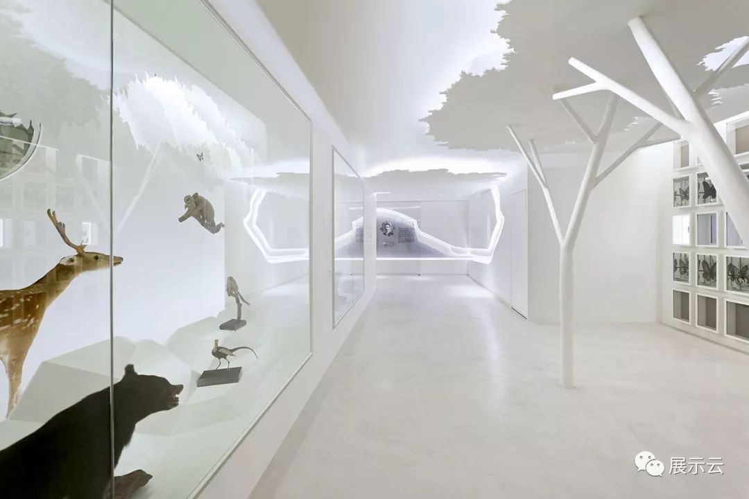 国立台湾博物馆—主题展览:发现台湾 国立台湾博物馆—主题展览:发现台湾