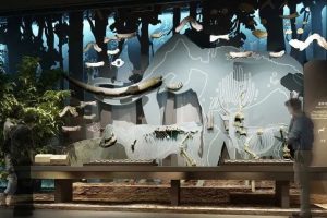 四川博物院：远古四川——史前时期的四川