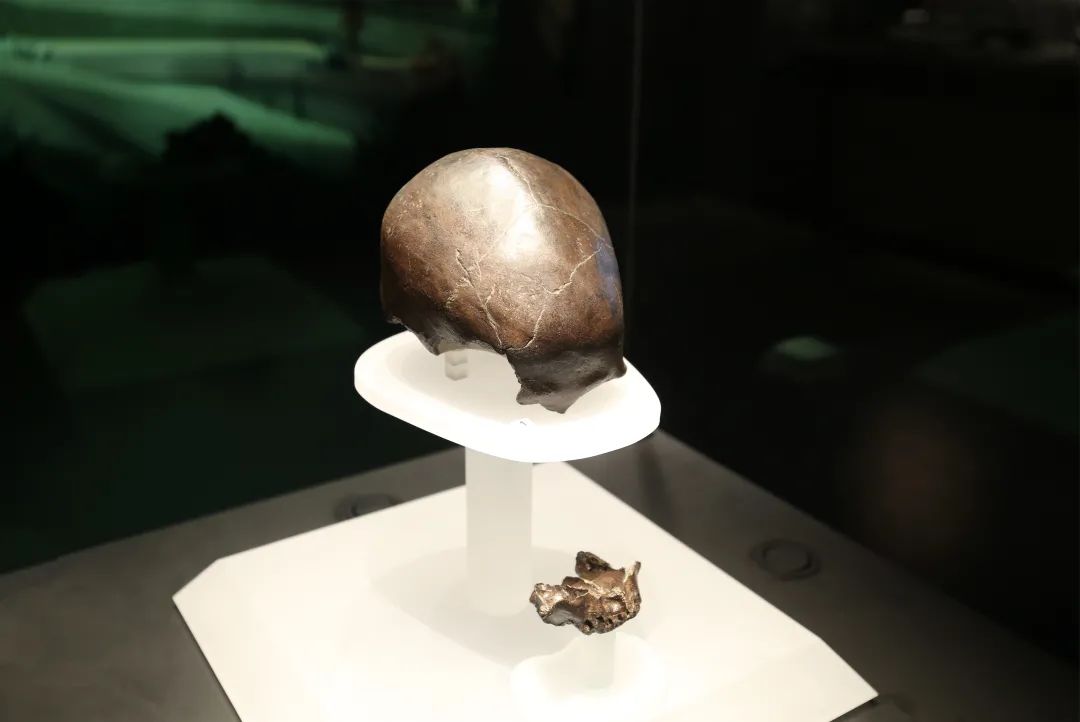 四川博物院:远古四川——史前时期的四川 四川博物院:远古四川——史前时期的四川