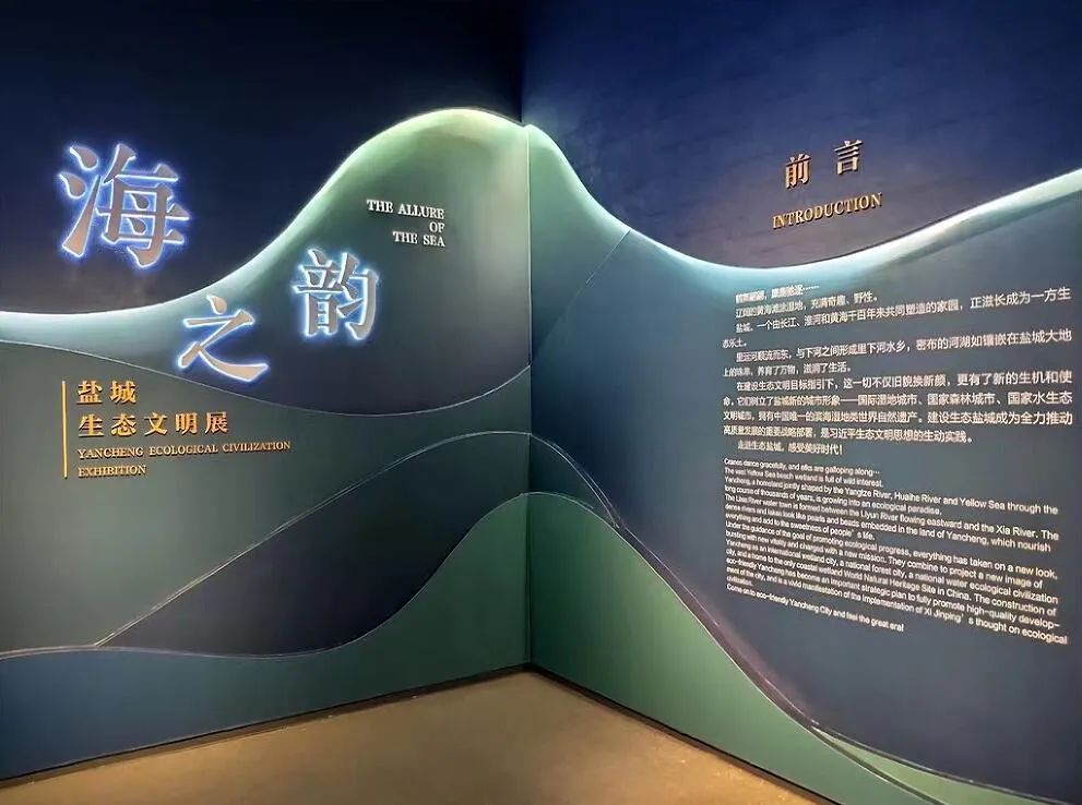 盐城市博物馆新馆开馆——读懂一座城从博物馆开始 盐城市博物馆新馆开馆——读懂一座城从博物馆开始