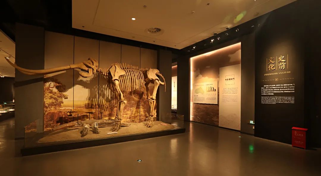 邢台博物馆展陈设计方案 邢台博物馆展陈设计方案
