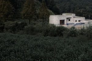 UAD·作品丨消隐的建筑，内化的乡土 ── 桑洲清溪文史馆