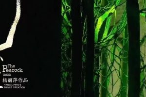 舞剧《孔雀》 杨丽萍对生命的终极叩问
