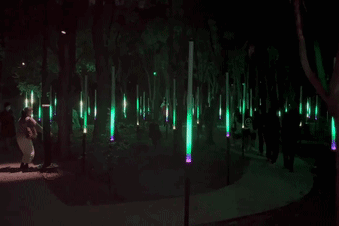 中国首个户外沉浸式夜游项目：“焕光森林•东方曦望”