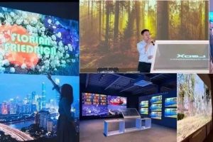 虎跃前程去，兔携好运来——建业显示的2022