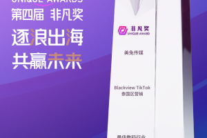 美兔传媒荣获“非凡奖-最佳数码行业TikTok营销奖”，赋能品牌出海