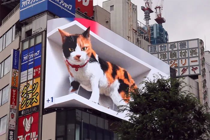 那些打破次元壁的3D 广告牌，模糊了内容和体验之间的界限！