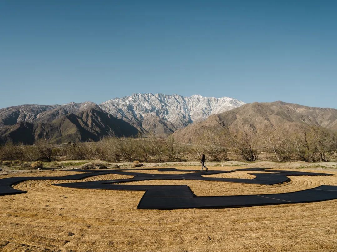 全球最大的沙漠艺术节，峡谷里藏着巨型作品，看展免费！