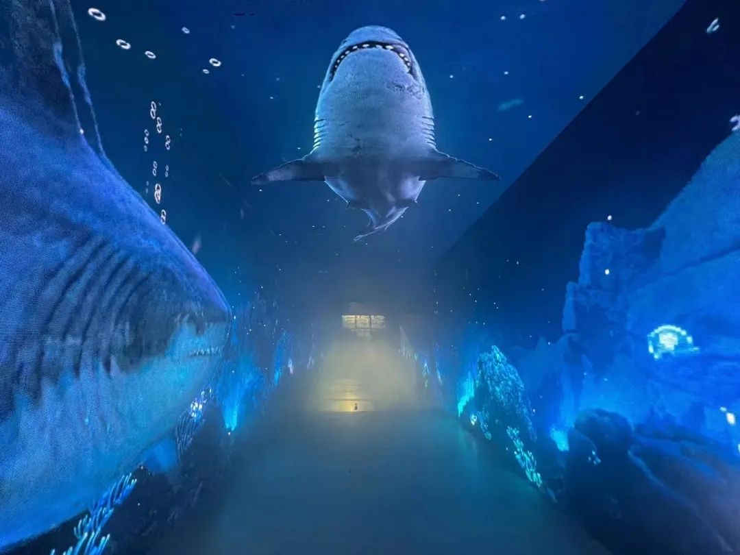 时隔五年，天空创想助力《巨齿鲨2：深渊》再掀狂澜