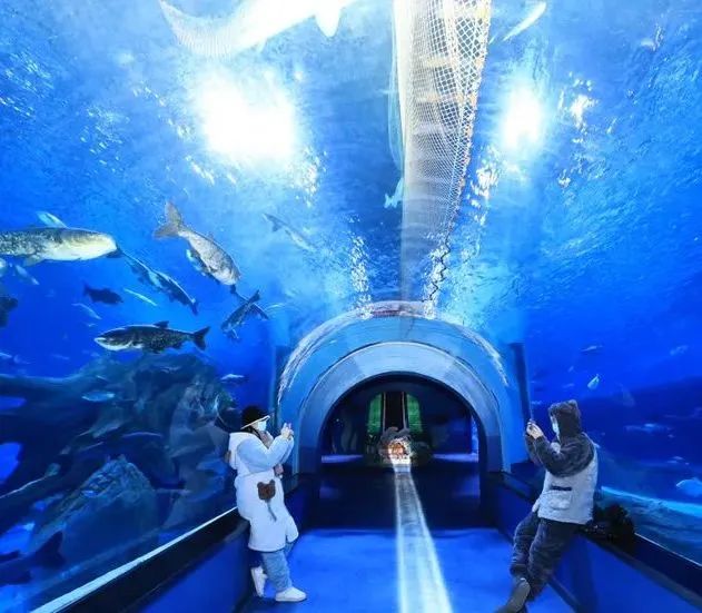 跨越界限！探索鄱阳湖湖口水族馆虚拟海底世界