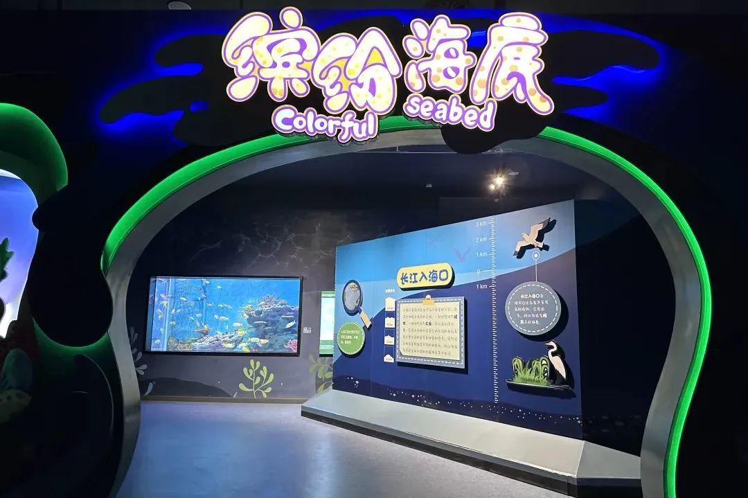 跨越界限！探索鄱阳湖湖口水族馆虚拟海底世界