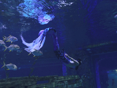 跨越界限！探索鄱阳湖湖口水族馆虚拟海底世界