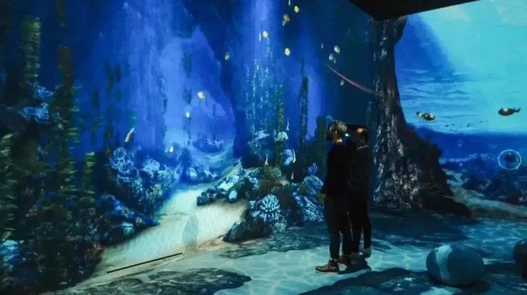 跨越界限！探索鄱阳湖湖口水族馆虚拟海底世界
