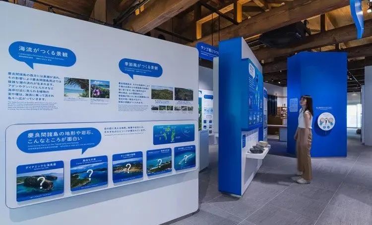 日本庆良蓝色海洋主题展览馆设计