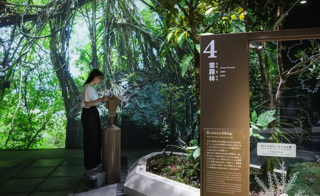 日本奄美大岛世界遗产中心生态展馆设计