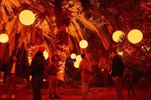 前沿分享丨探索星星从夜空中坠落的璀璨光芒